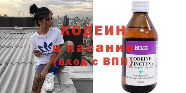 стафф Касимов