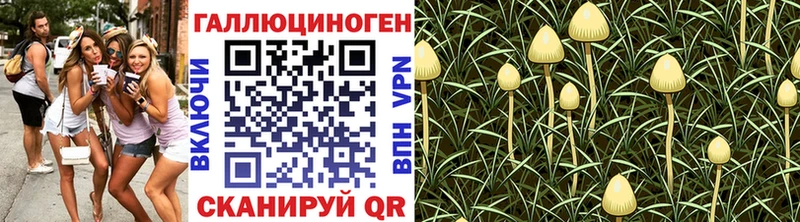 KRAKEN рабочий сайт  Улан-Удэ  Галлюциногенные грибы прущие грибы 